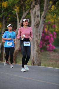 BIB: 101, 6248
                            <button type="button" onclick="openModal(3498142)" class="btn btn-primary btn-sm float-right btn-popup" data-toggle="modal" data-target=".modal-high-quality">
                        <i class="fas fa-shopping-cart"></i> Add to Cart
                    </button>
                                            <button type="button" onclick="isThisMe(3498142, true)" class="btn btn-success btn-sm float-right btn-popup btn-isme hidden" data-toggle="tooltip" data-placement="bottom" title="นี่คือรูปของคุณใช่ไหม คลิกที่นี่เพื่อเอาเข้าอัลบั้ม">
                        <i class="fas fa-plus"></i> Add to album
                    </button>
                    <button type="button" onclick="isThisMe(3498142, false)" class="btn btn-warning btn-sm float-right btn-popup btn-isnotme hidden">
                        <i class="fas fa-ban"></i> Remove from album
                    </button>